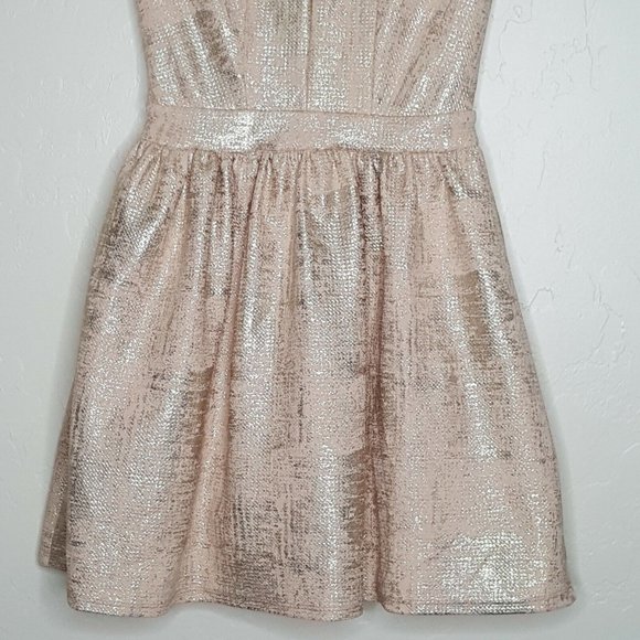 Charlotte Russe Size Small Pink Silver Skater Dress Sleeveless Back Zip NWT - Picture 4 of 7